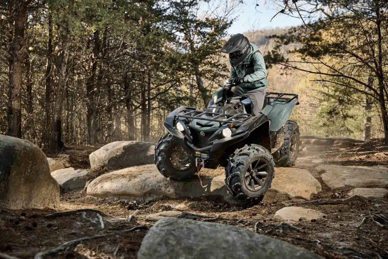 Photo1_Grizzly – grande taille