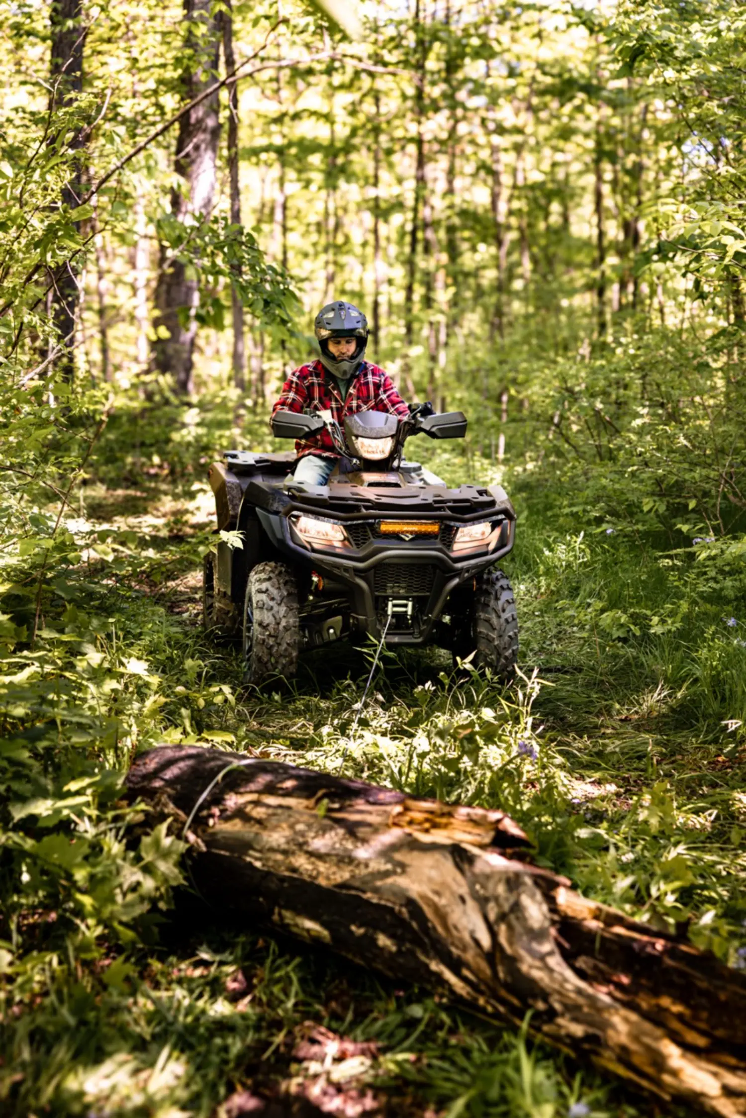 Photo2_KingQuad – grande taille