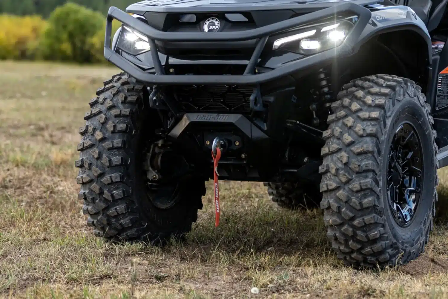 Photo 10 – grande taille