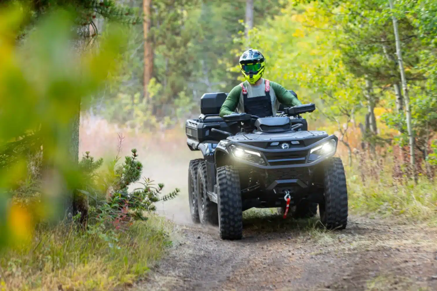 Photo 11 – grande taille