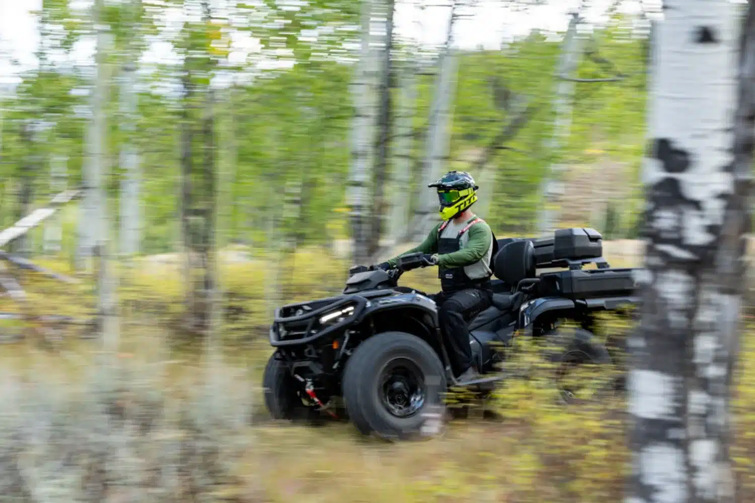 Photo 12 – grande taille