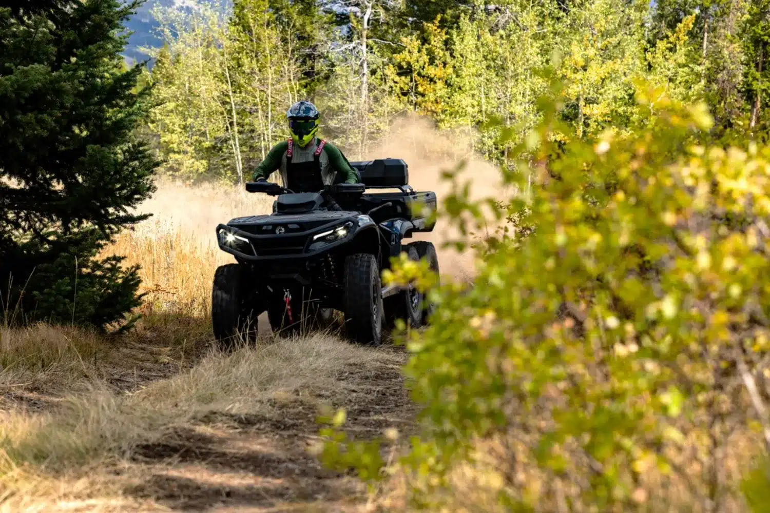 Photo 13 – grande taille