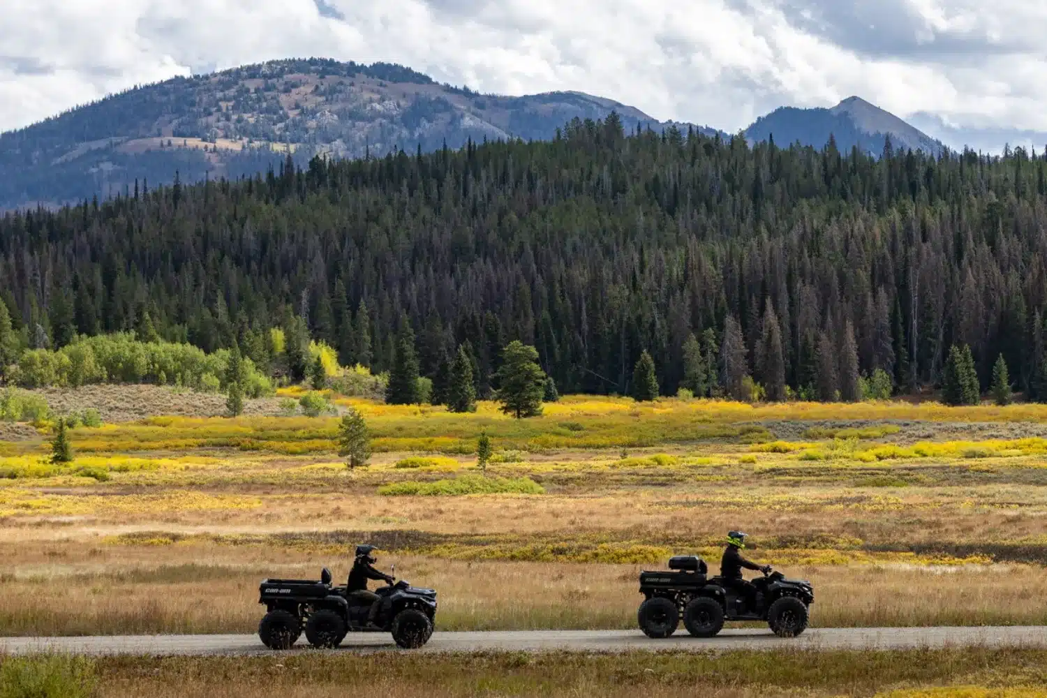 Photo 14 – grande taille