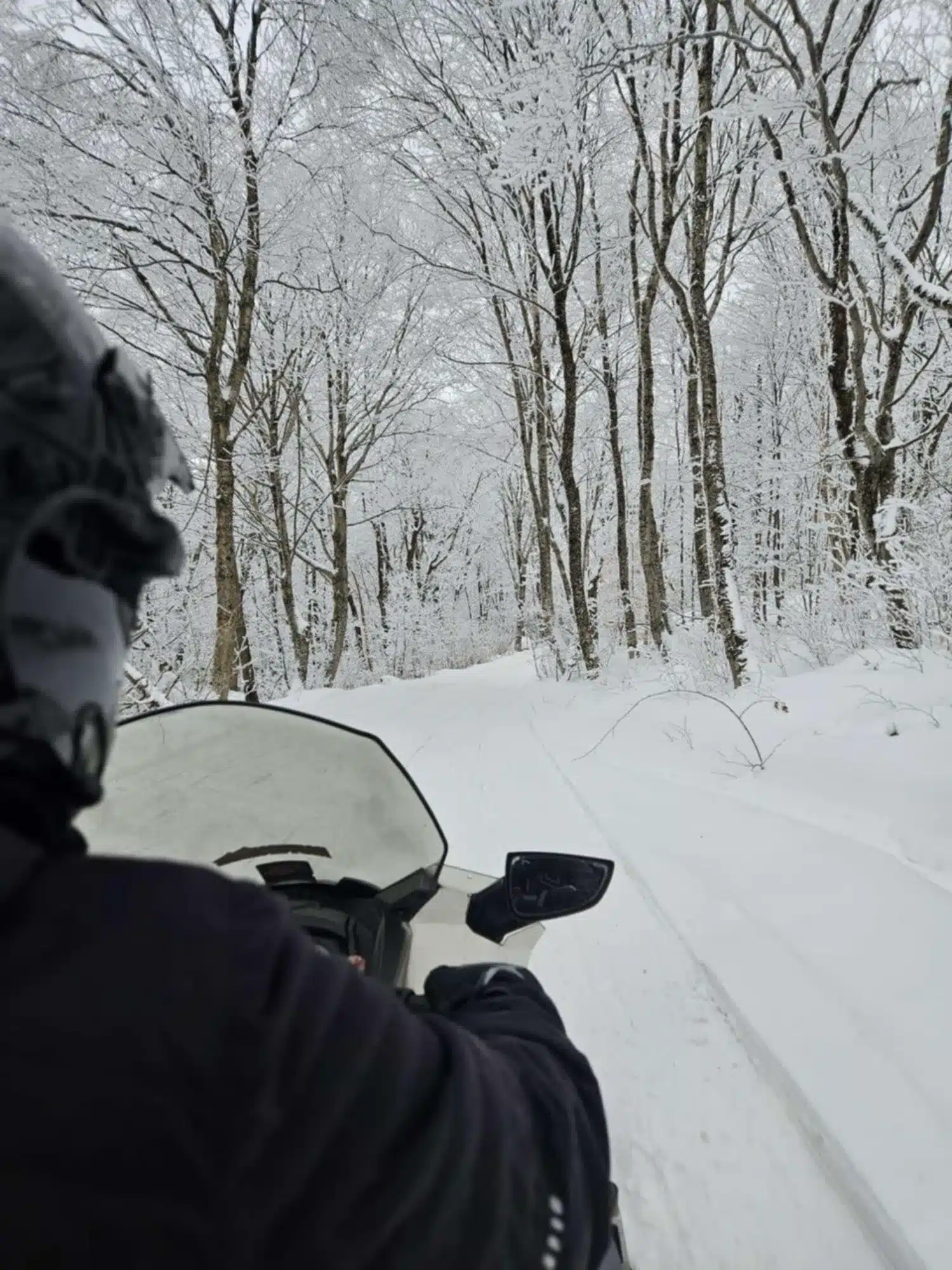 The satisfaction of riding on the trail...