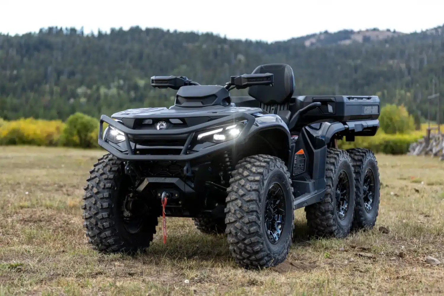 Photo 2 – grande taille