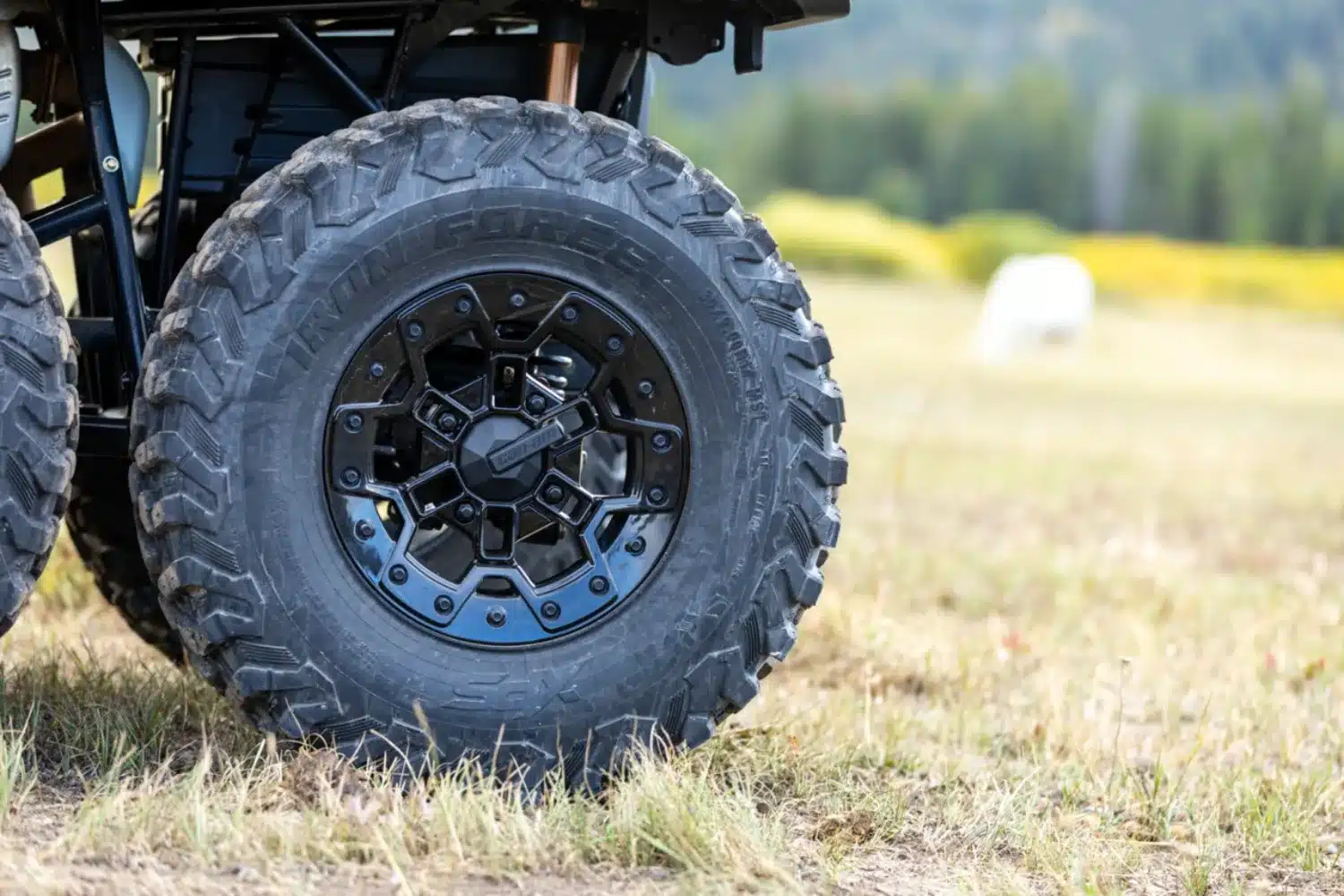 Photo 2.2 – grande taille