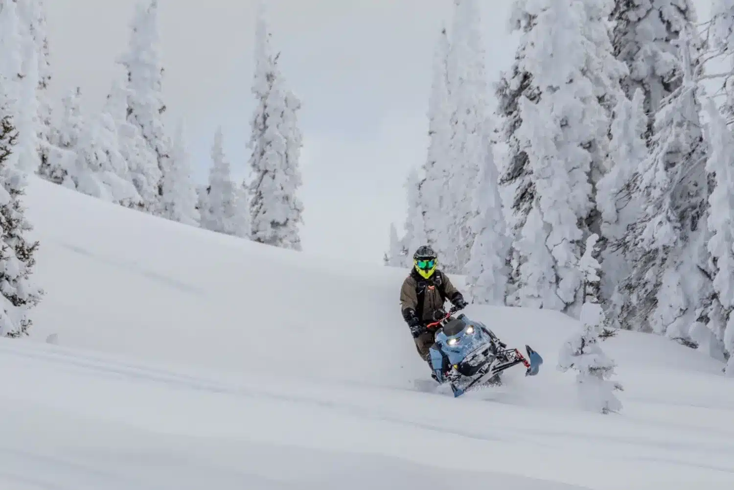 Mountain snowmobiling is demanding, but thrilling.