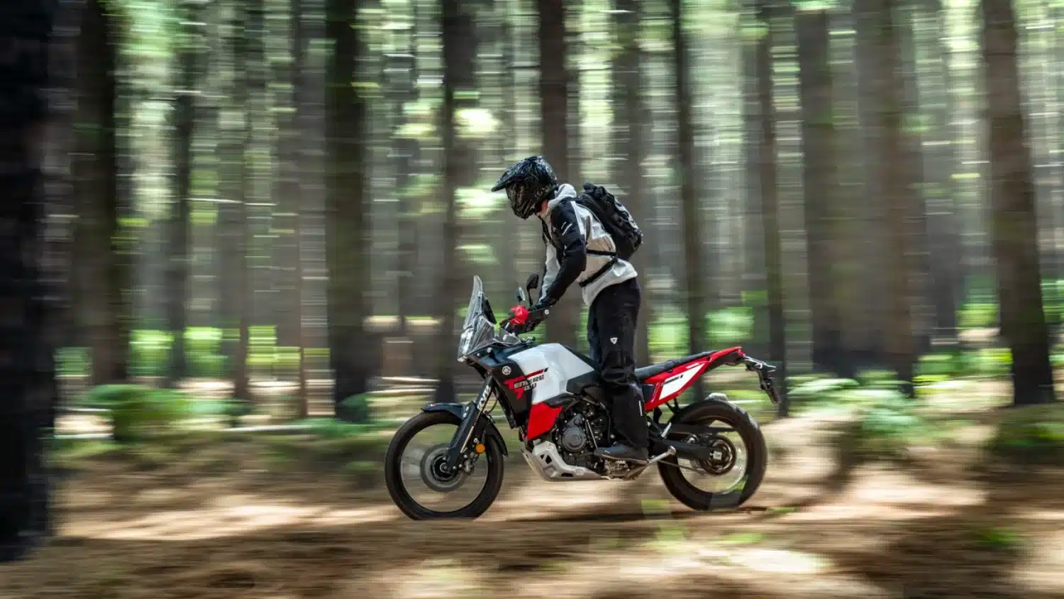 Photo 3 – grande taille