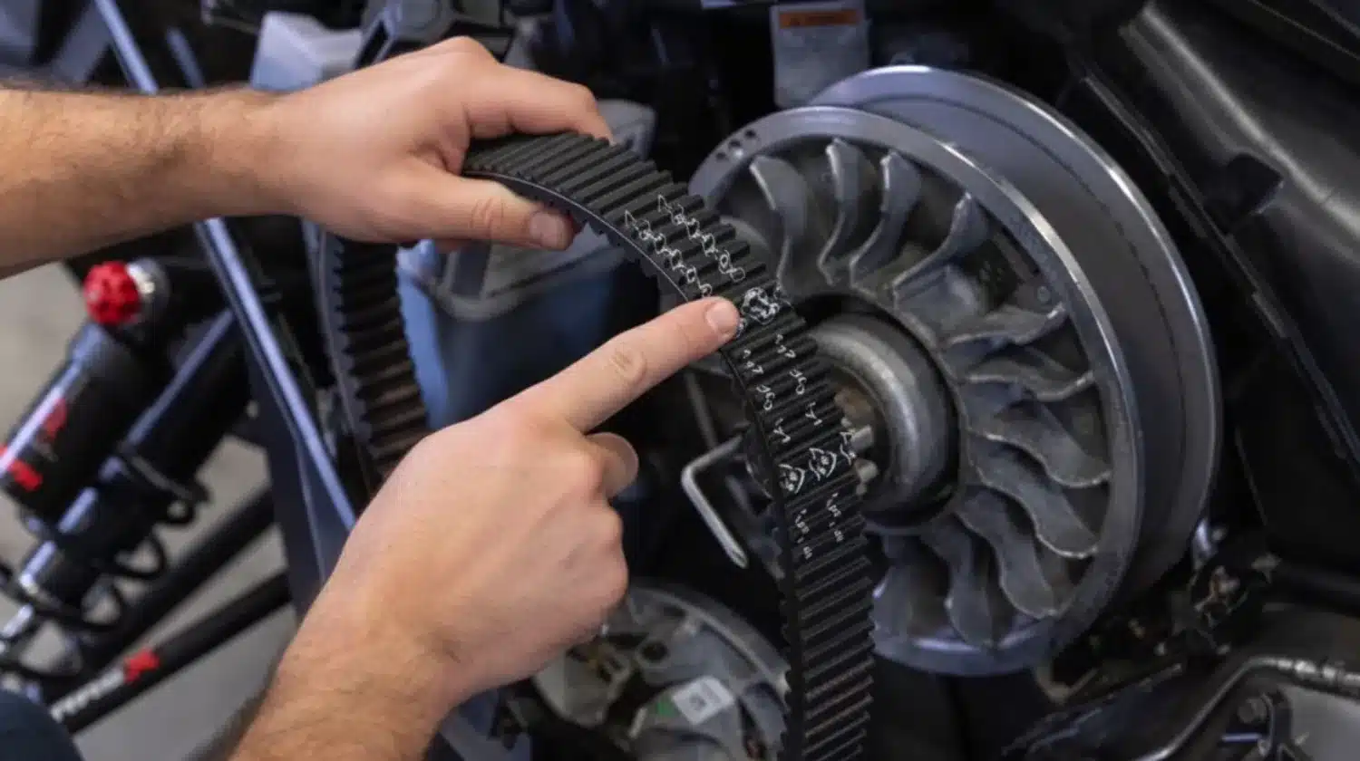 Photo 3 – grande taille