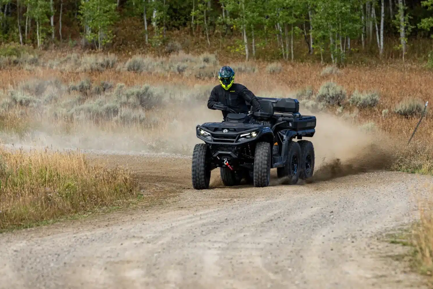 Photo 3 – grande taille