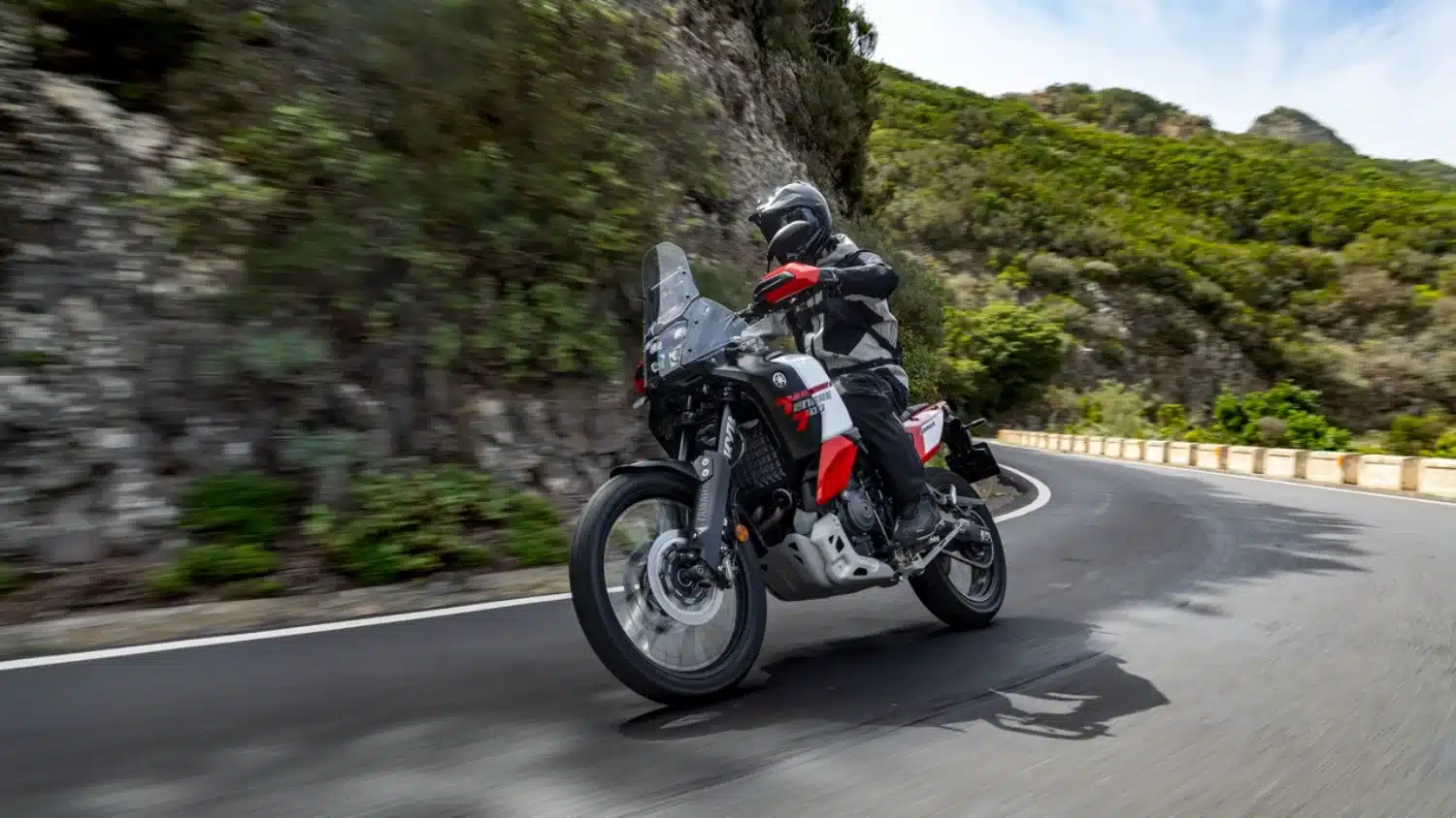 Photo 4 – grande taille