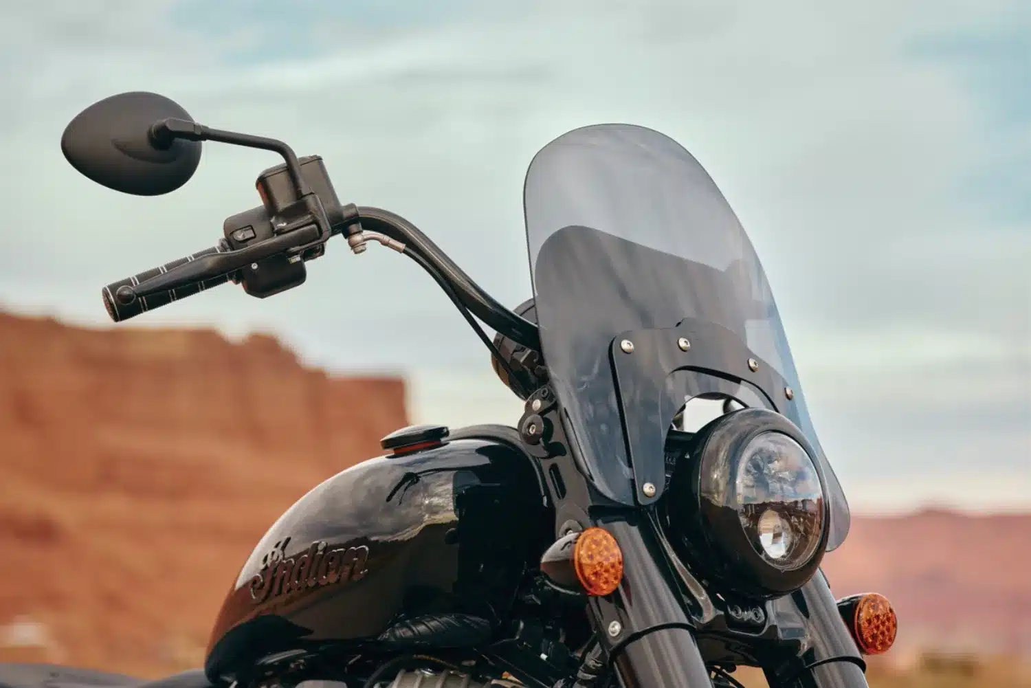 Photo 4 – grande taille