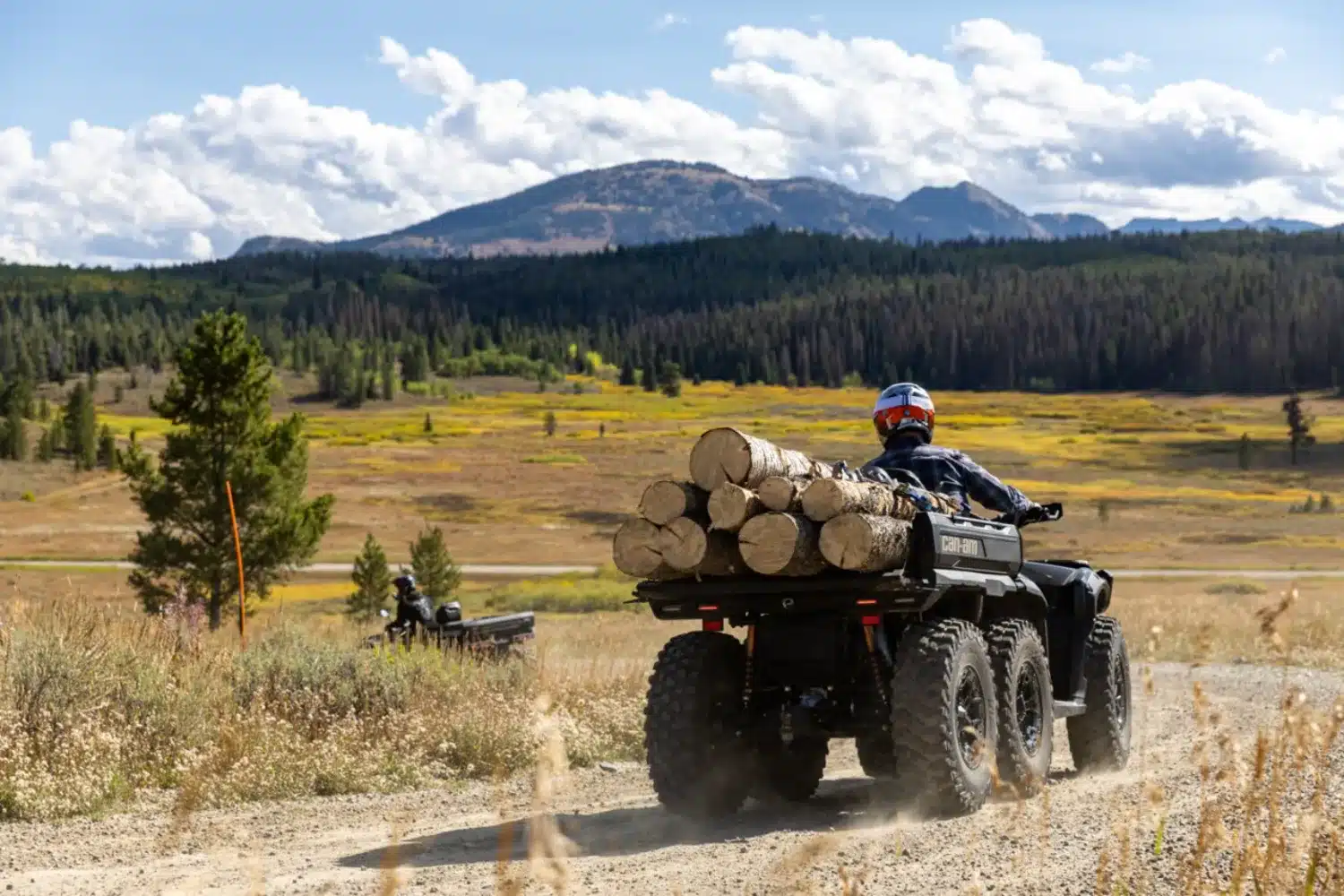 Photo 4 – grande taille