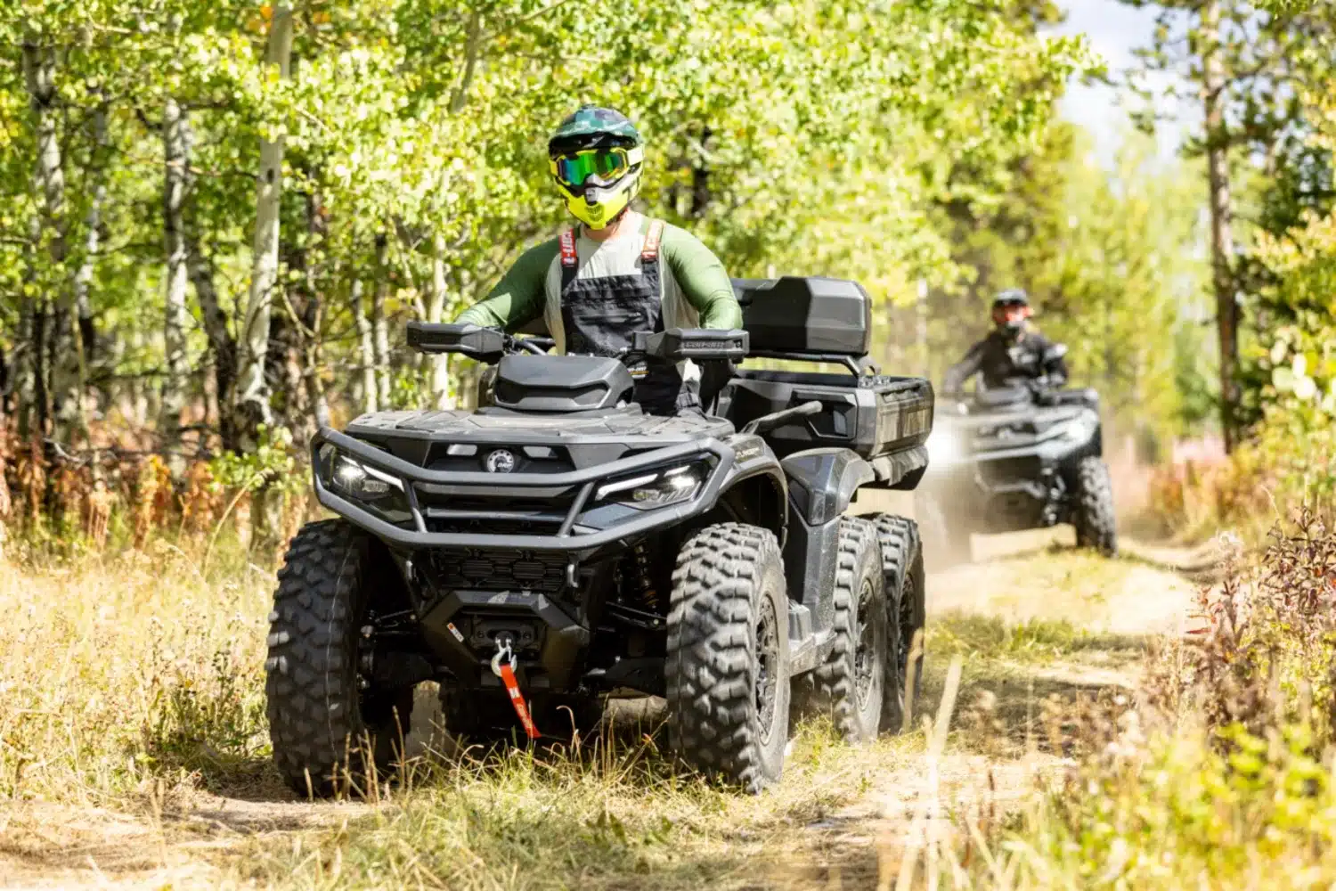 Photo 5 – grande taille