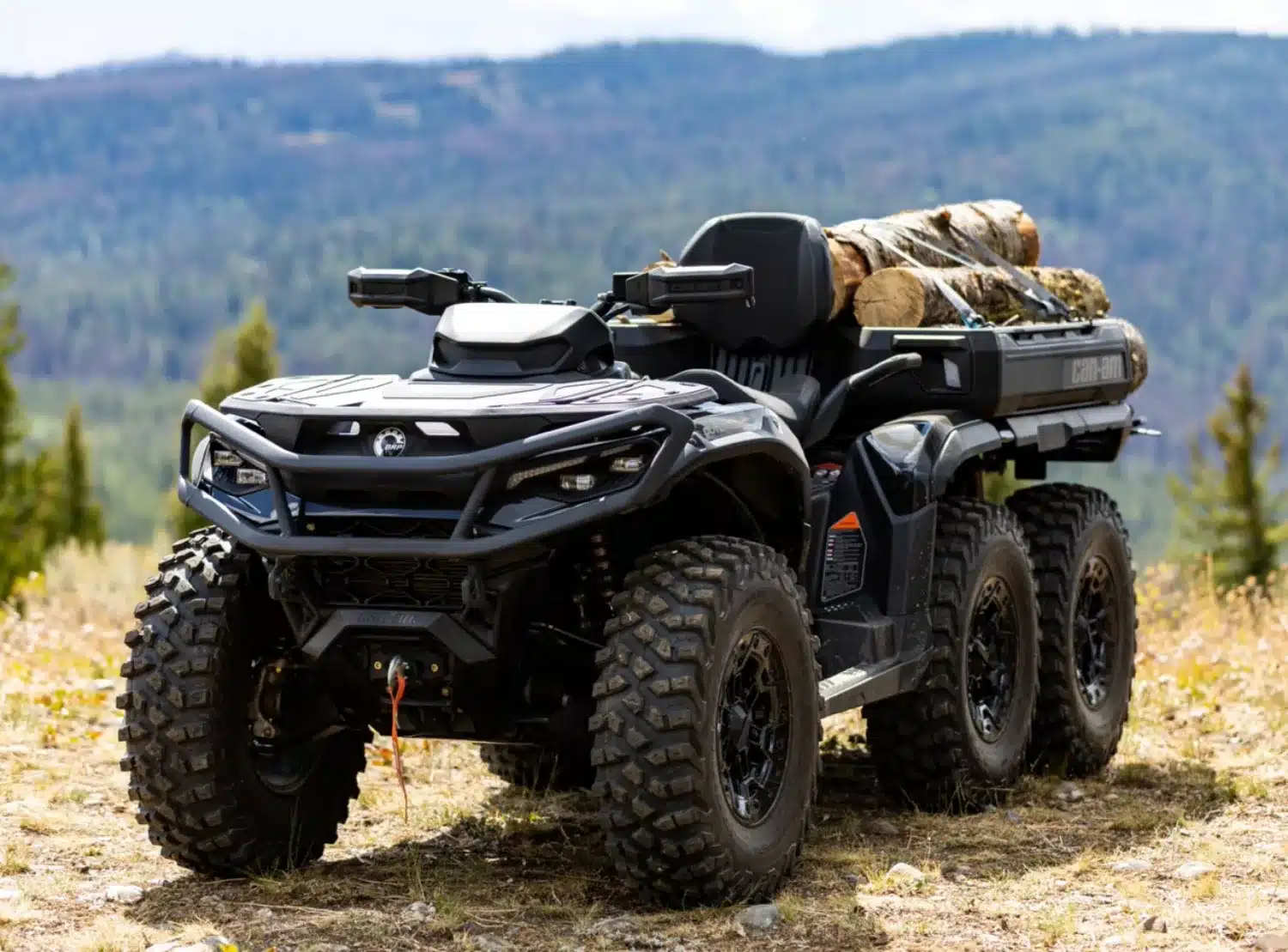 Photo 7 – grande taille