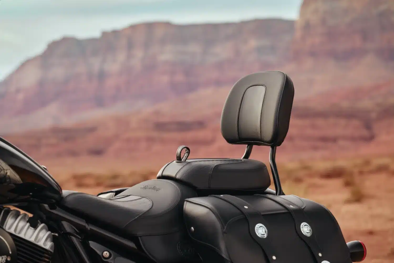 Photo 9 – grande taille