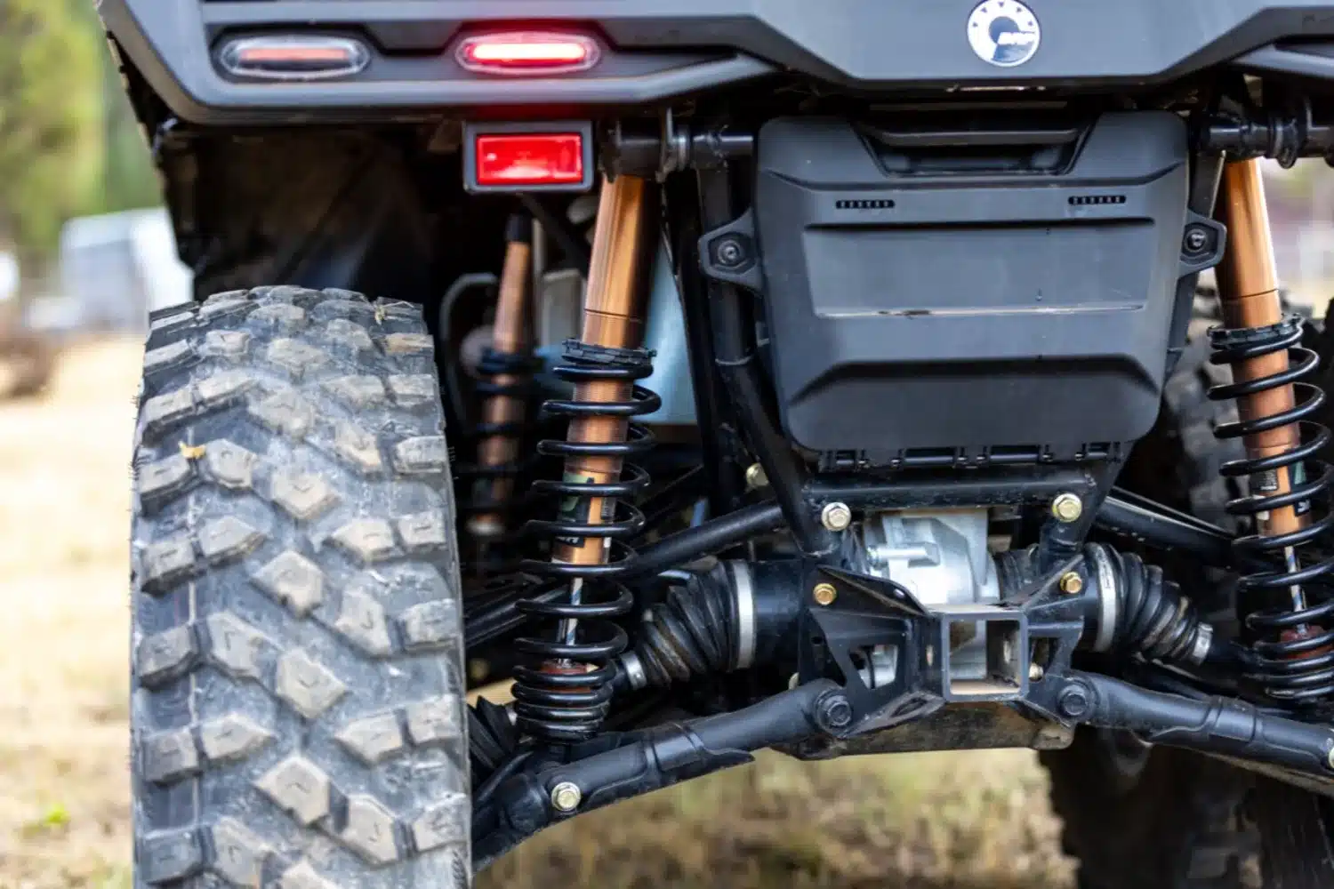 Photo 9 – grande taille