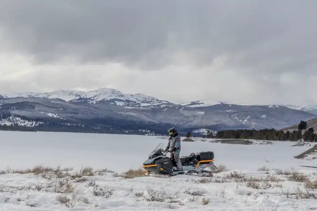 BF7A1434 – grande taille