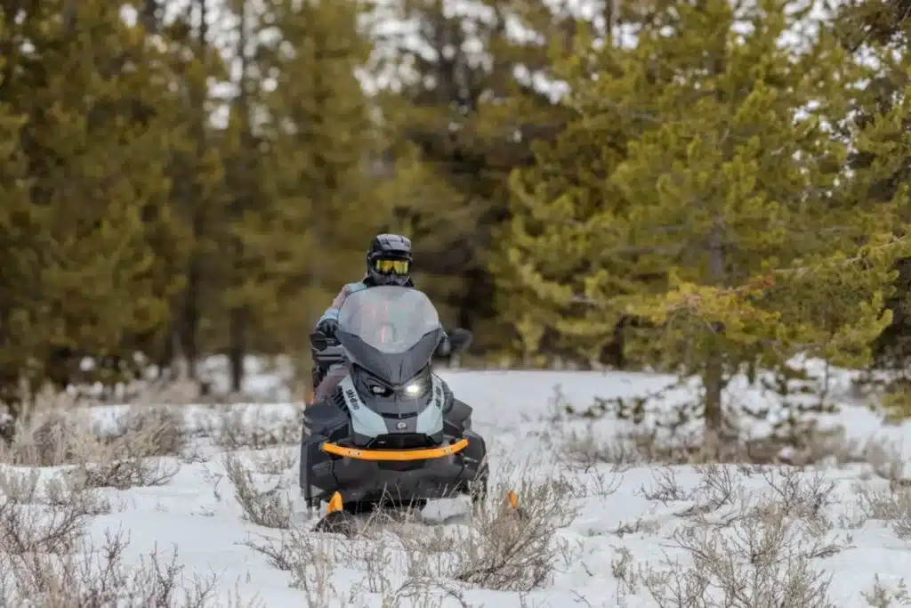 BF7A1474 – grande taille