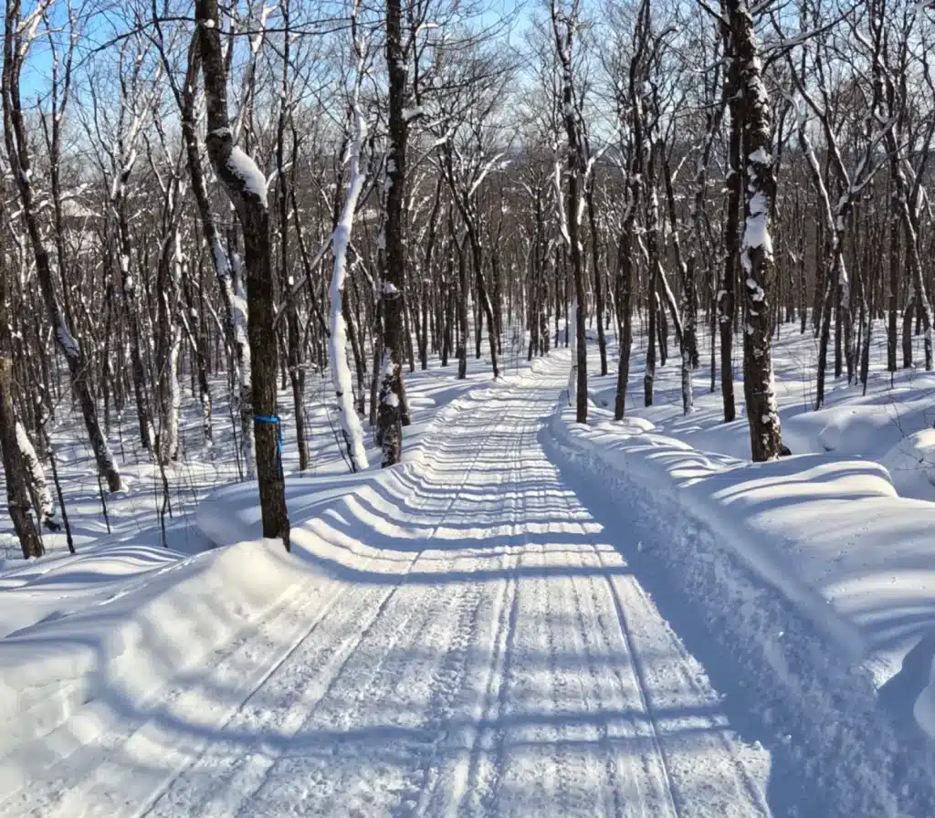 Snowmobiling in Extreme Cold