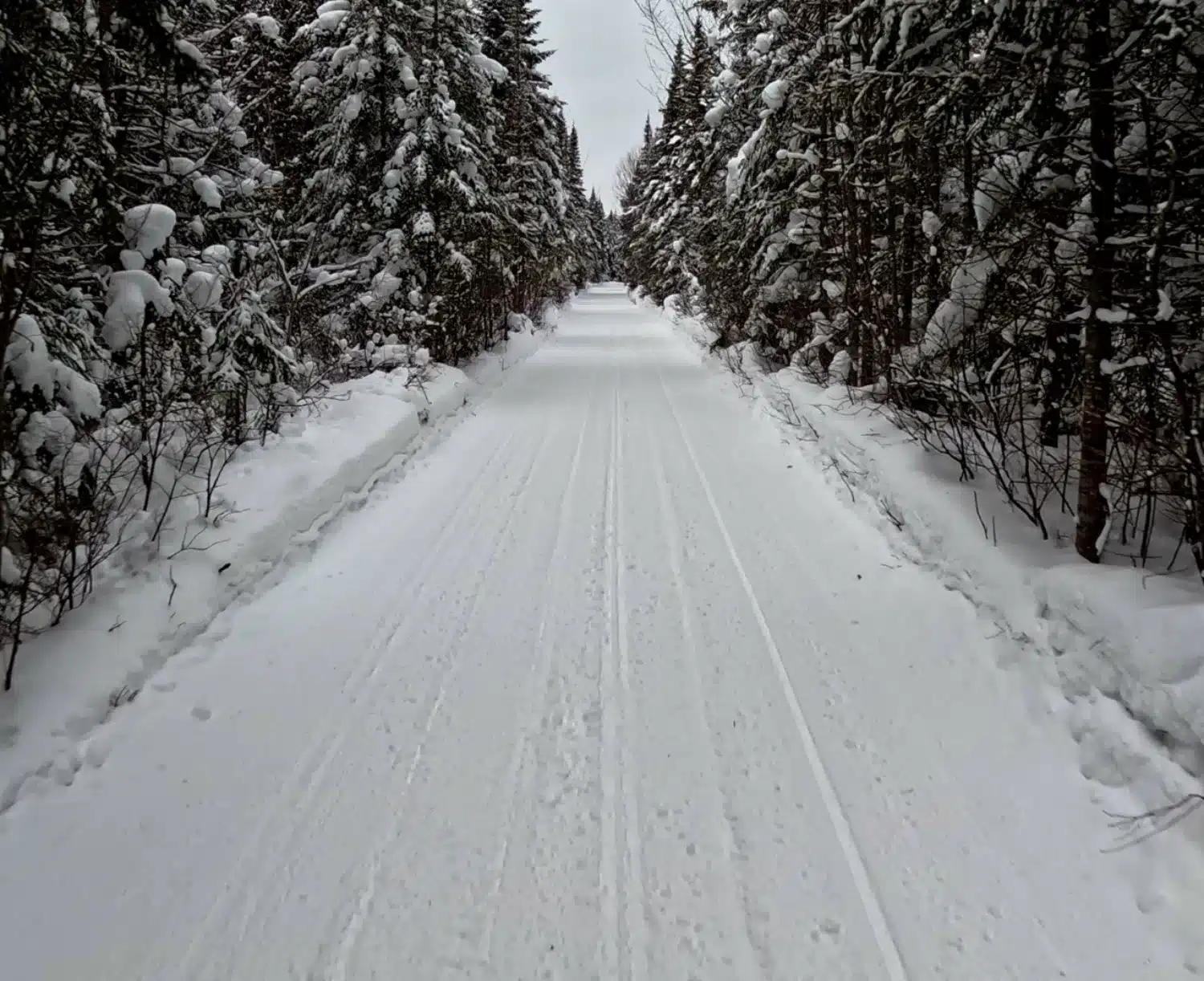 The trails are inviting in cold weather.