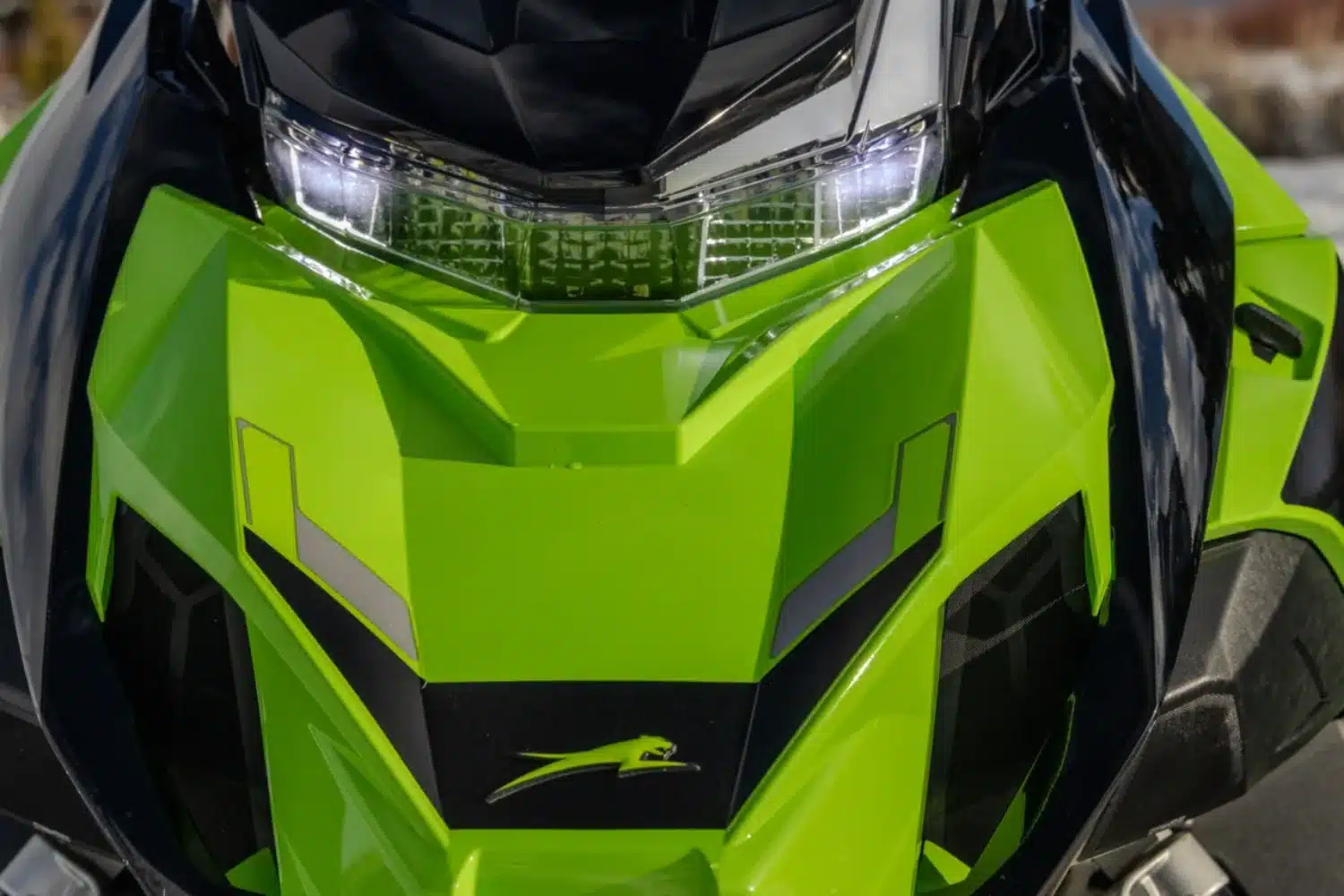 Photo 1.2 – grande taille