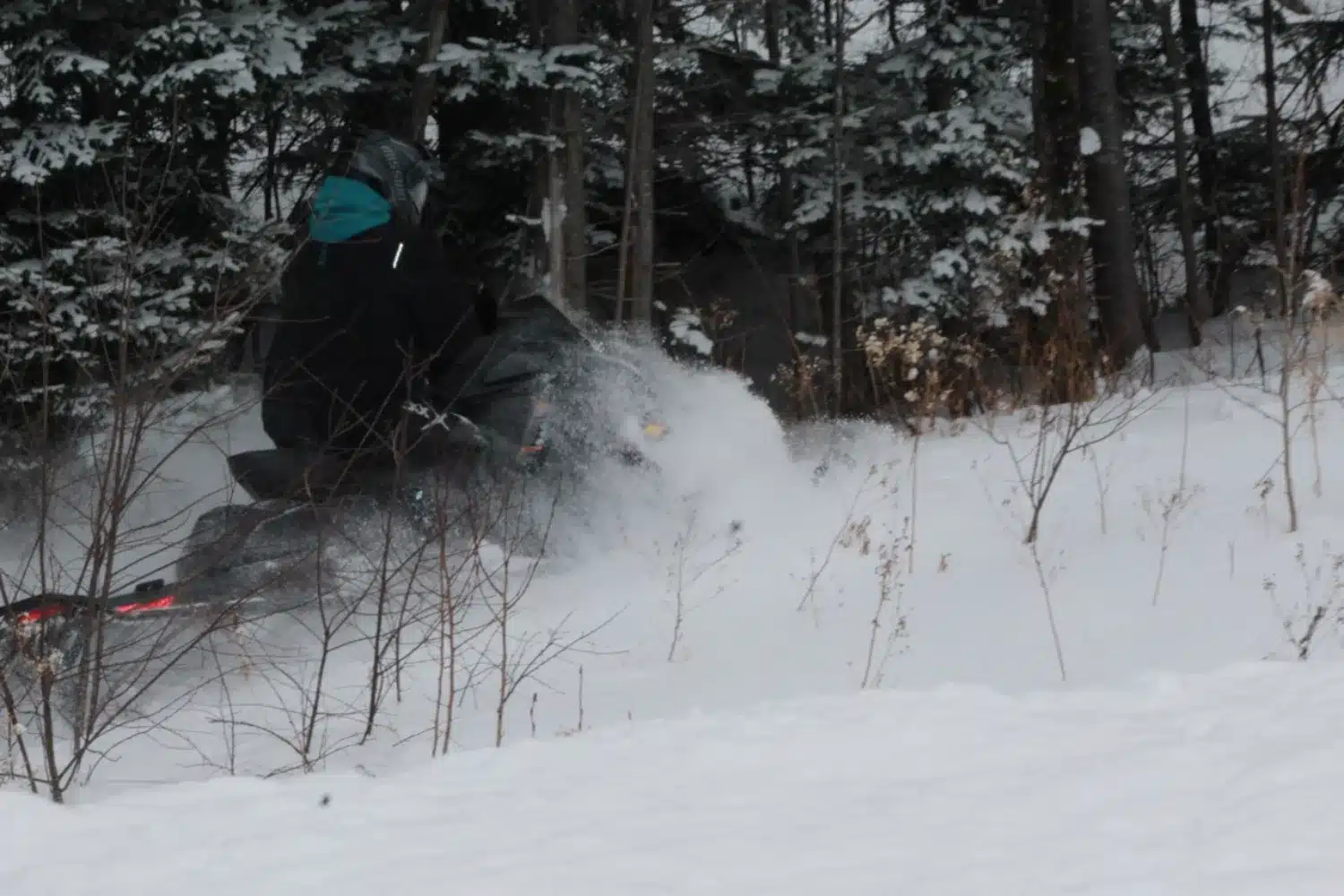 Photo 11 – grande taille