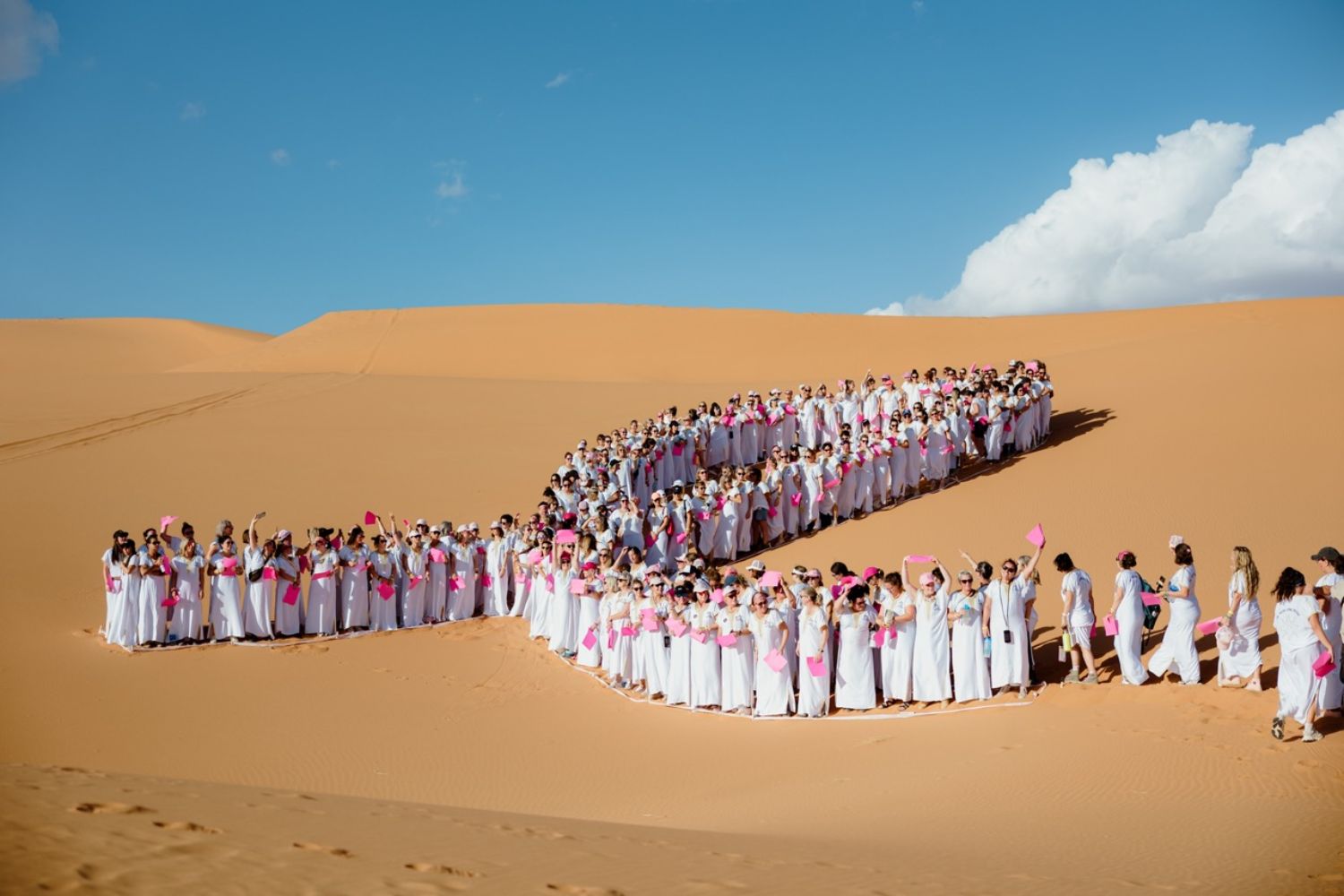 The Pink Ribbon is a cause supported by the organization.