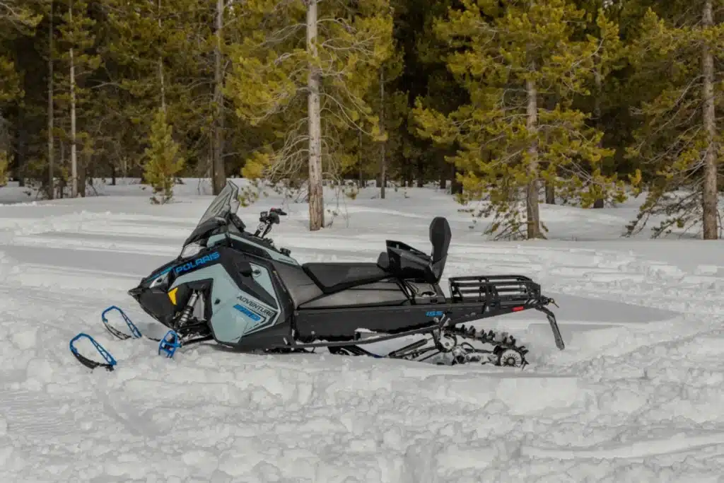 Photo 3 – grande taille