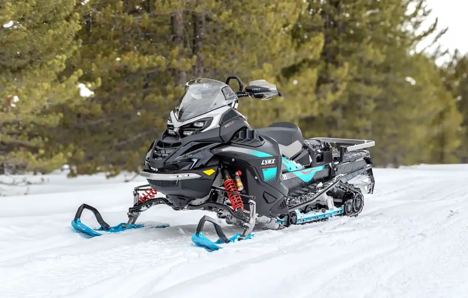 Photo 3 – grande taille