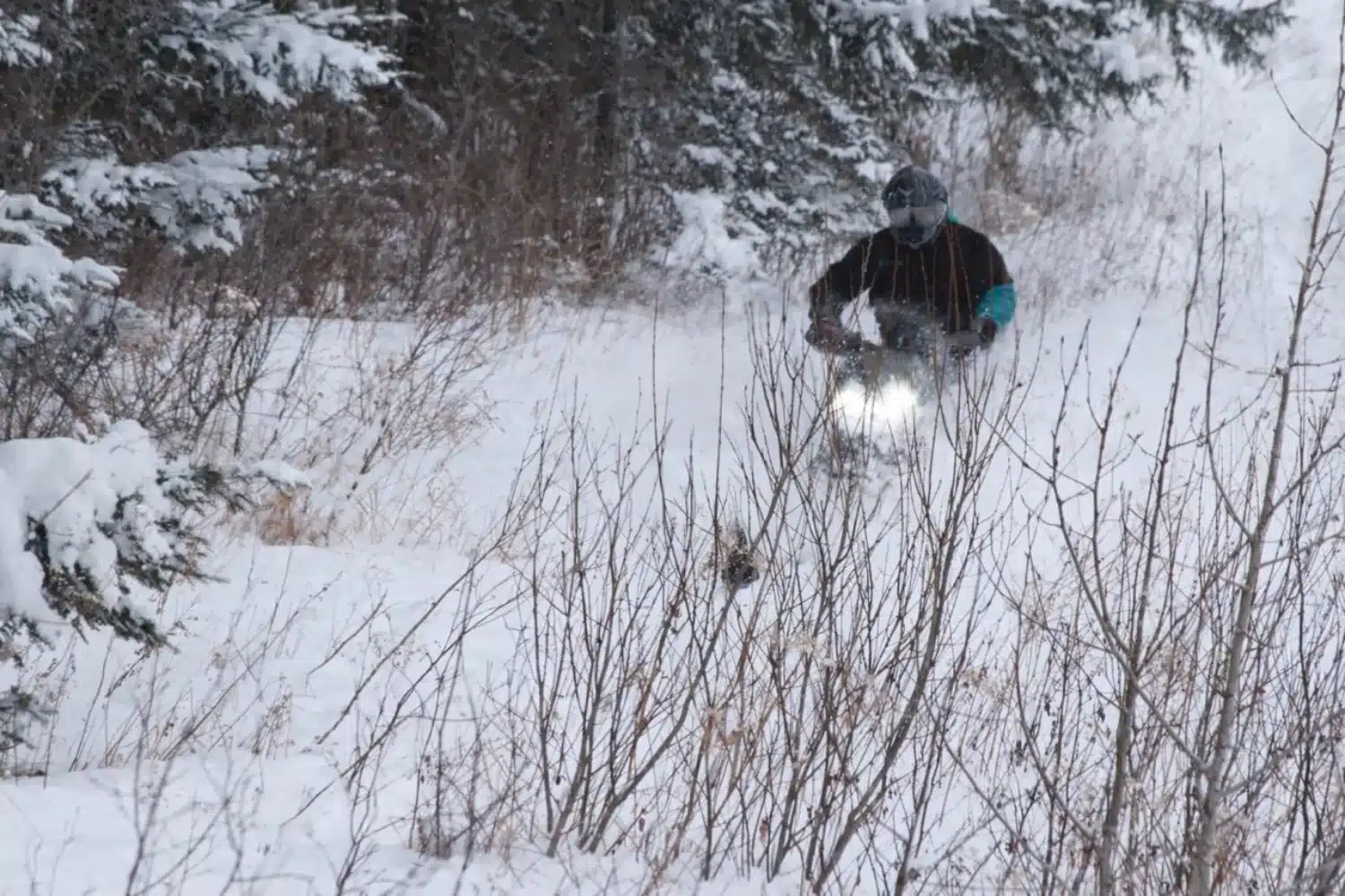 Photo 5 – grande taille