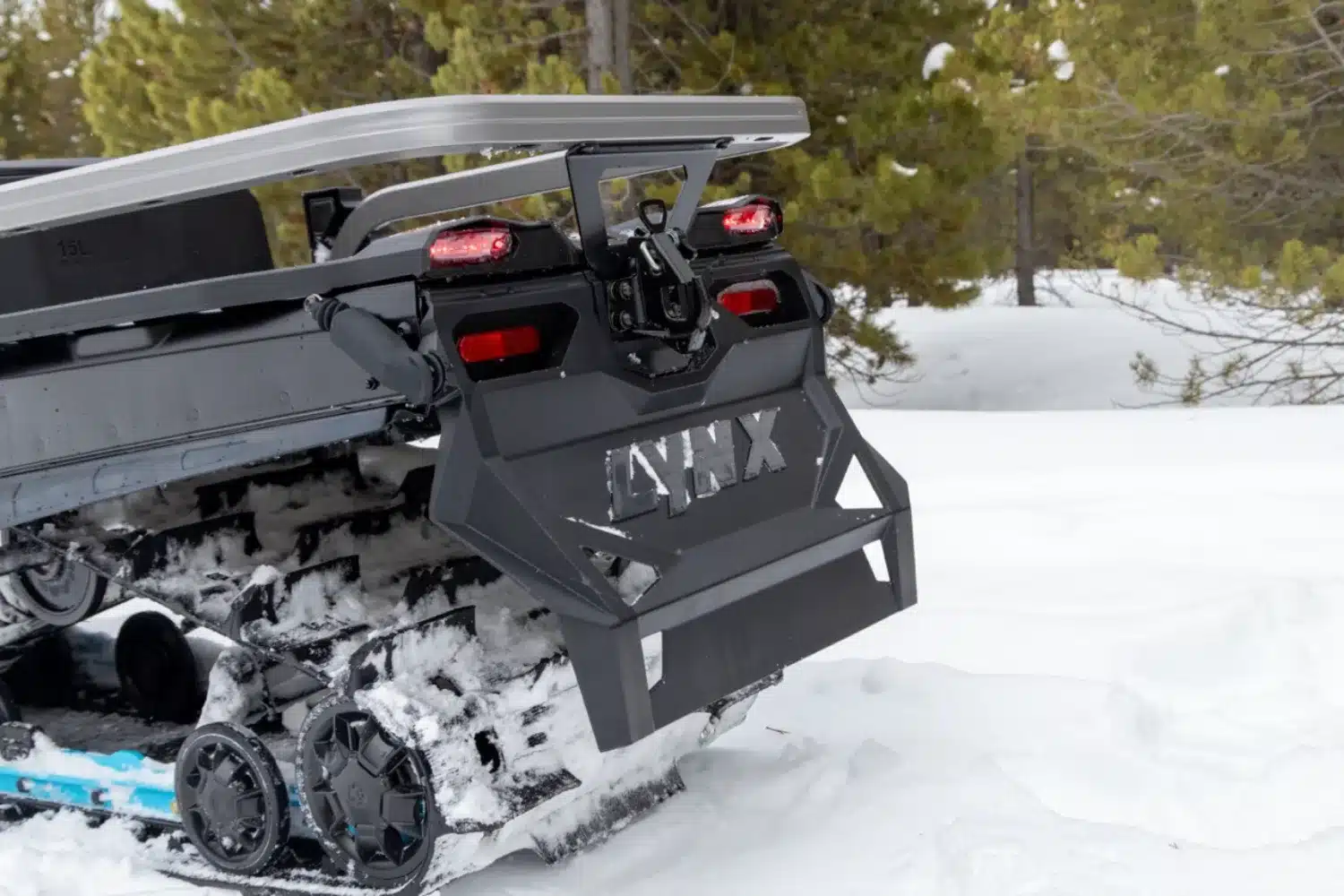 Photo 5 – grande taille