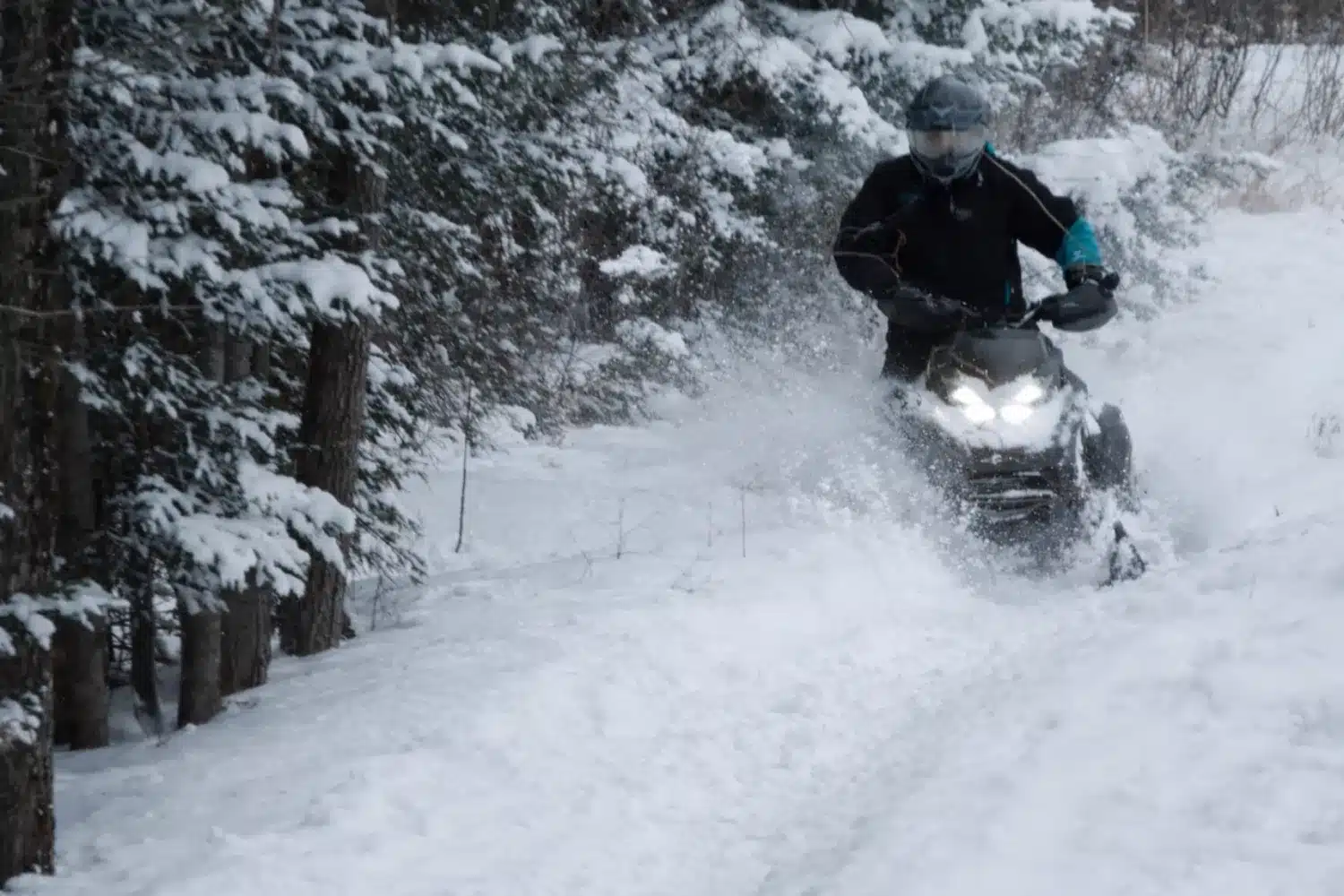 Photo 6 – grande taille