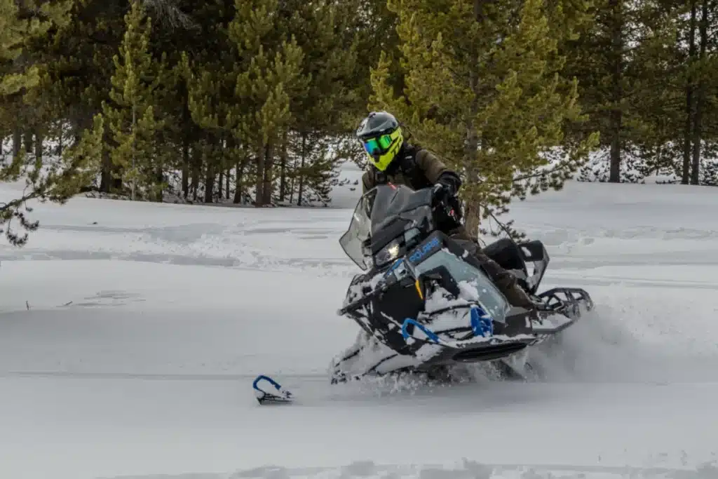 Photo 6 – grande taille