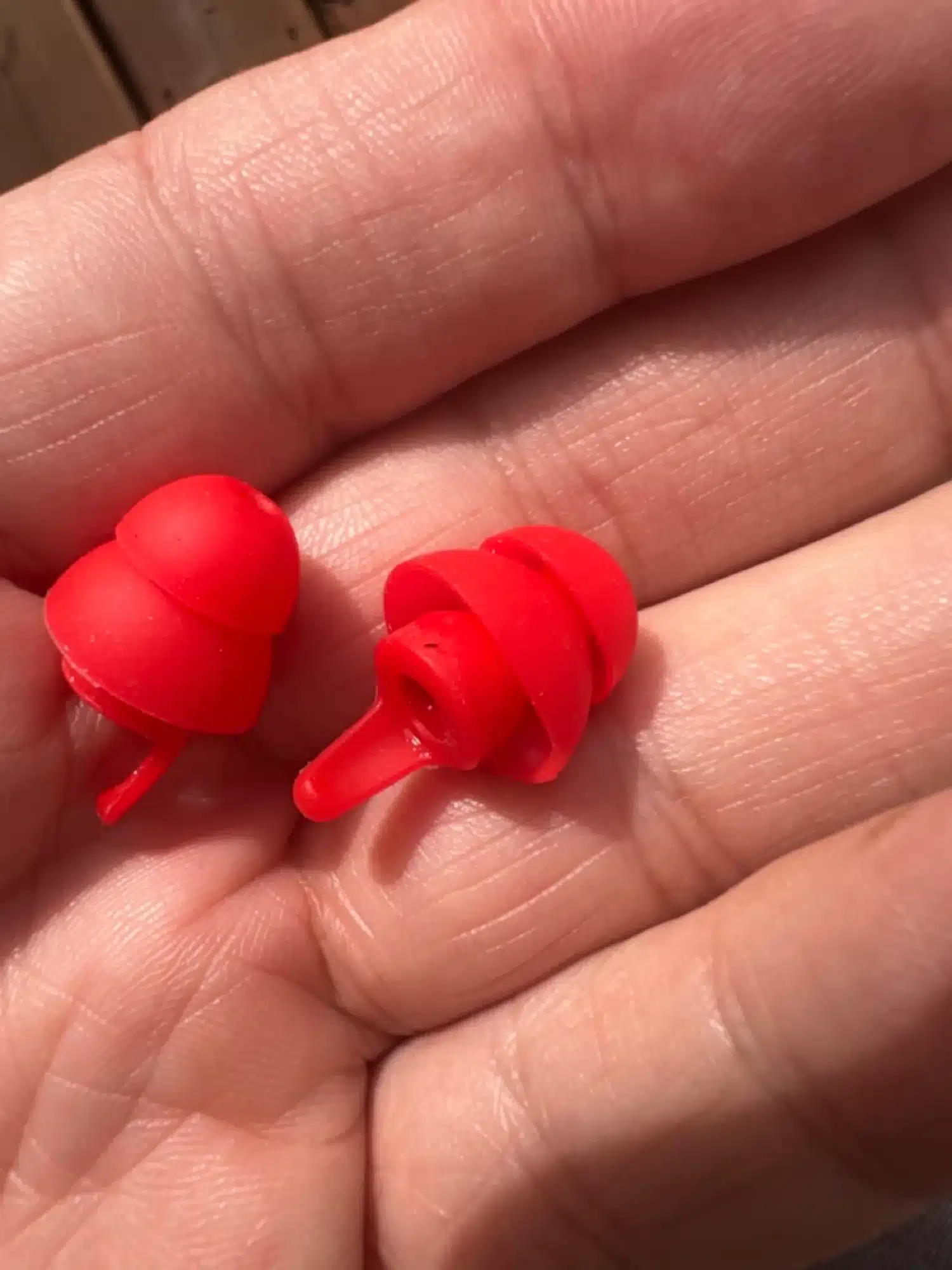 Photo 7 – grande taille