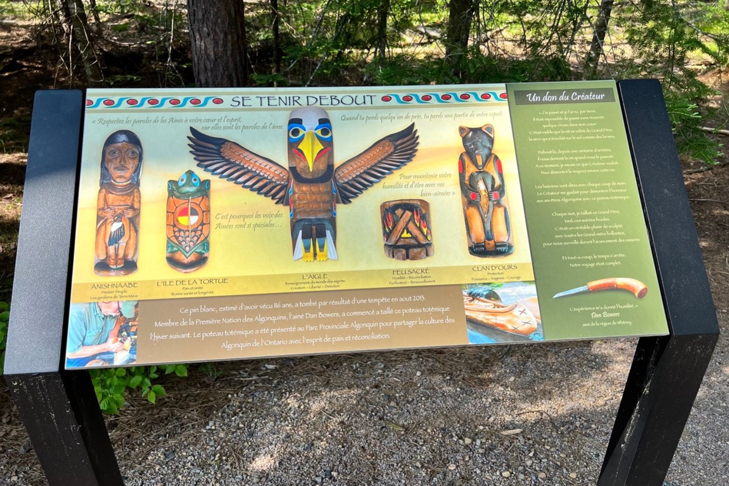 The Algonquin Park Visitor Center offers an exhibition on the park's natural environment.
