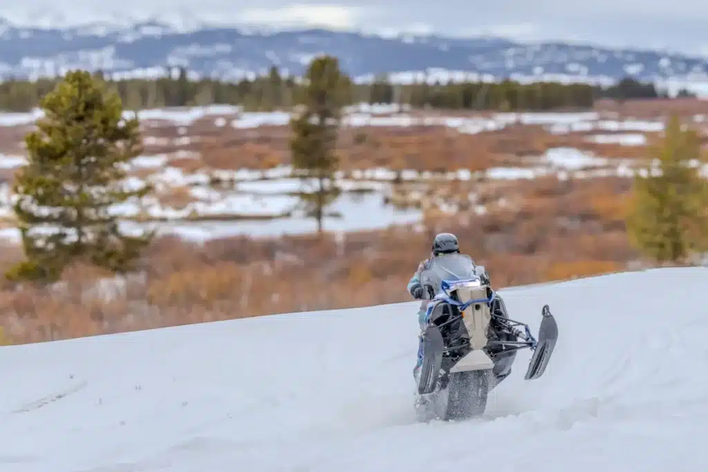 BF7A0138 – grande taille