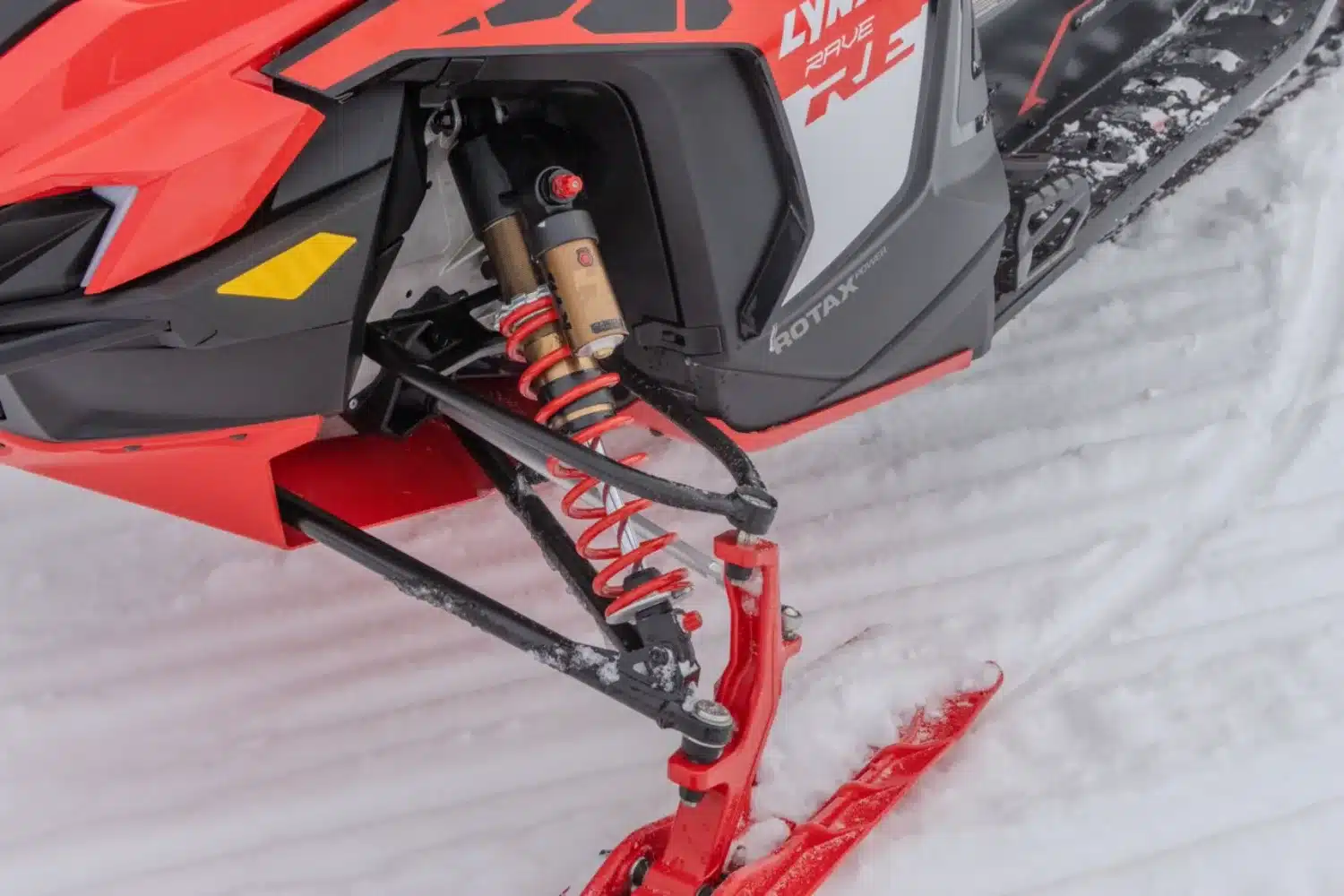 BF7A1568 – grande taille