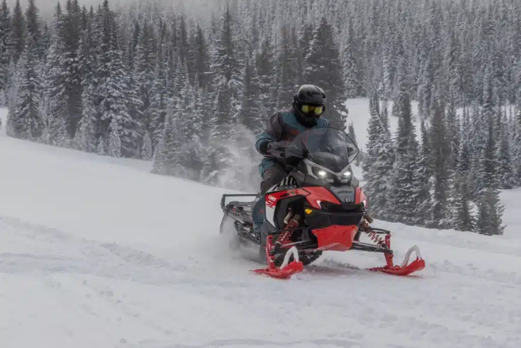 BF7A1666 – grande taille