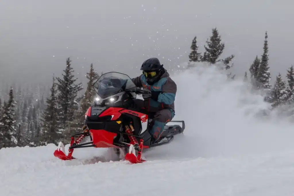 BF7A1724 – grande taille