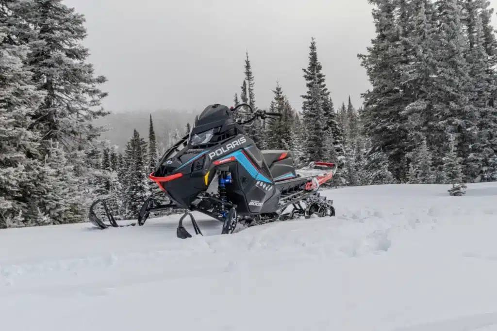 Photo 1.5 – grande taille