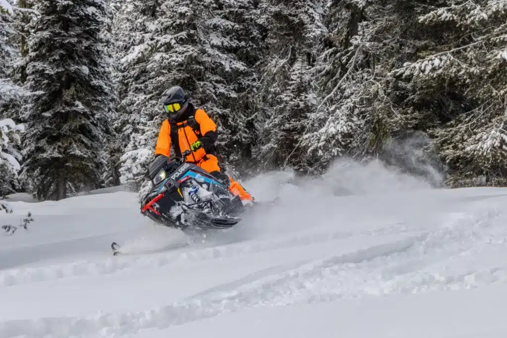 Photo 2 – grande taille