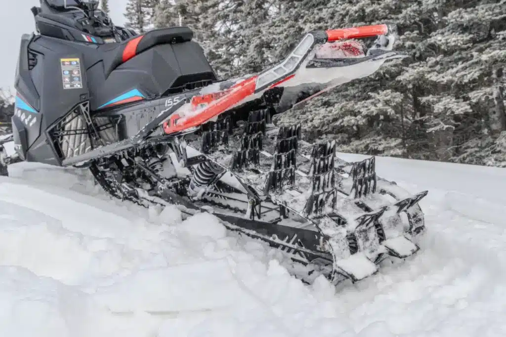 Photo 4 – grande taille