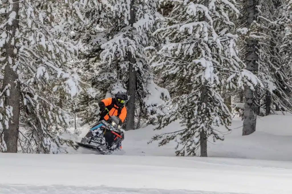 Photo 5 – grande taille