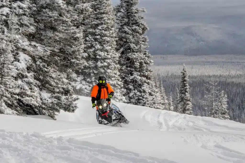 Photo 6 – grande taille