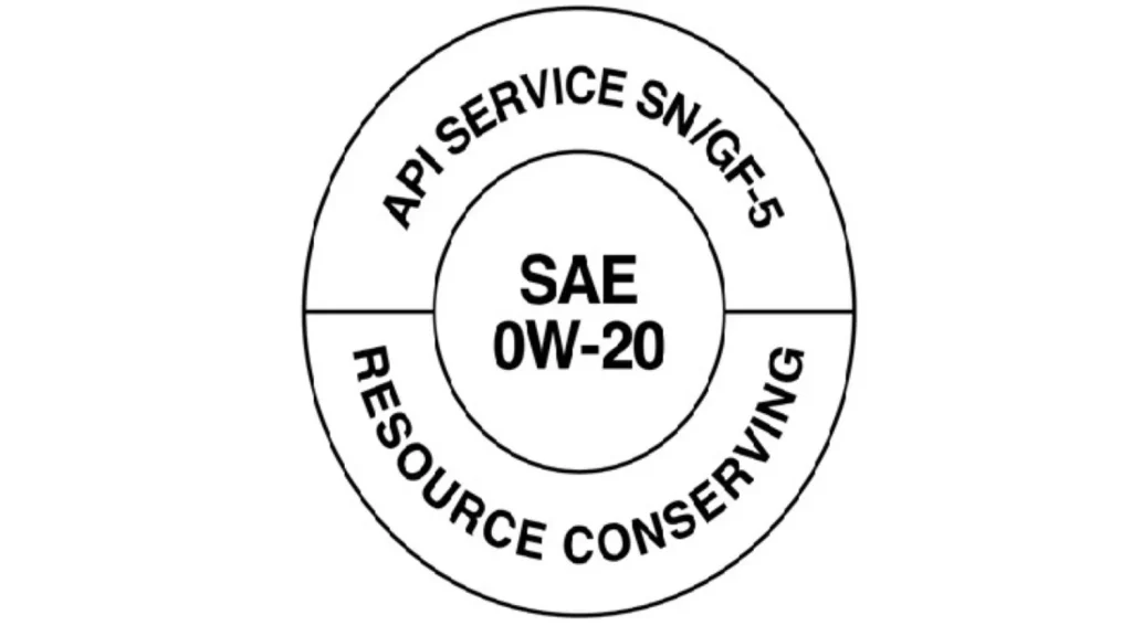 Photo 6 – grande taille