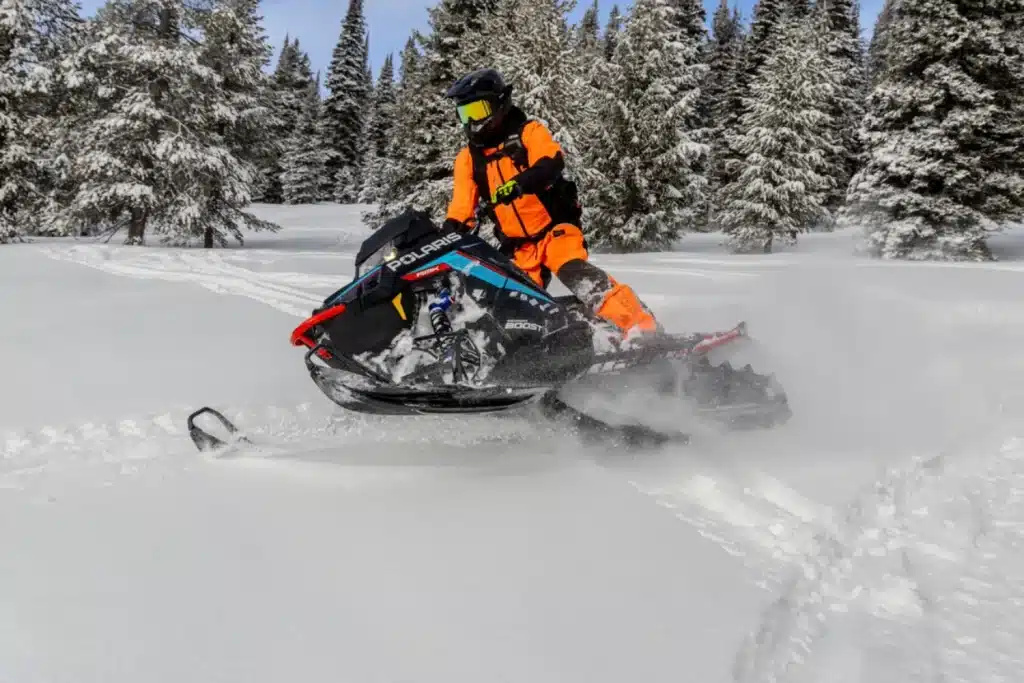 Photo 7 – grande taille