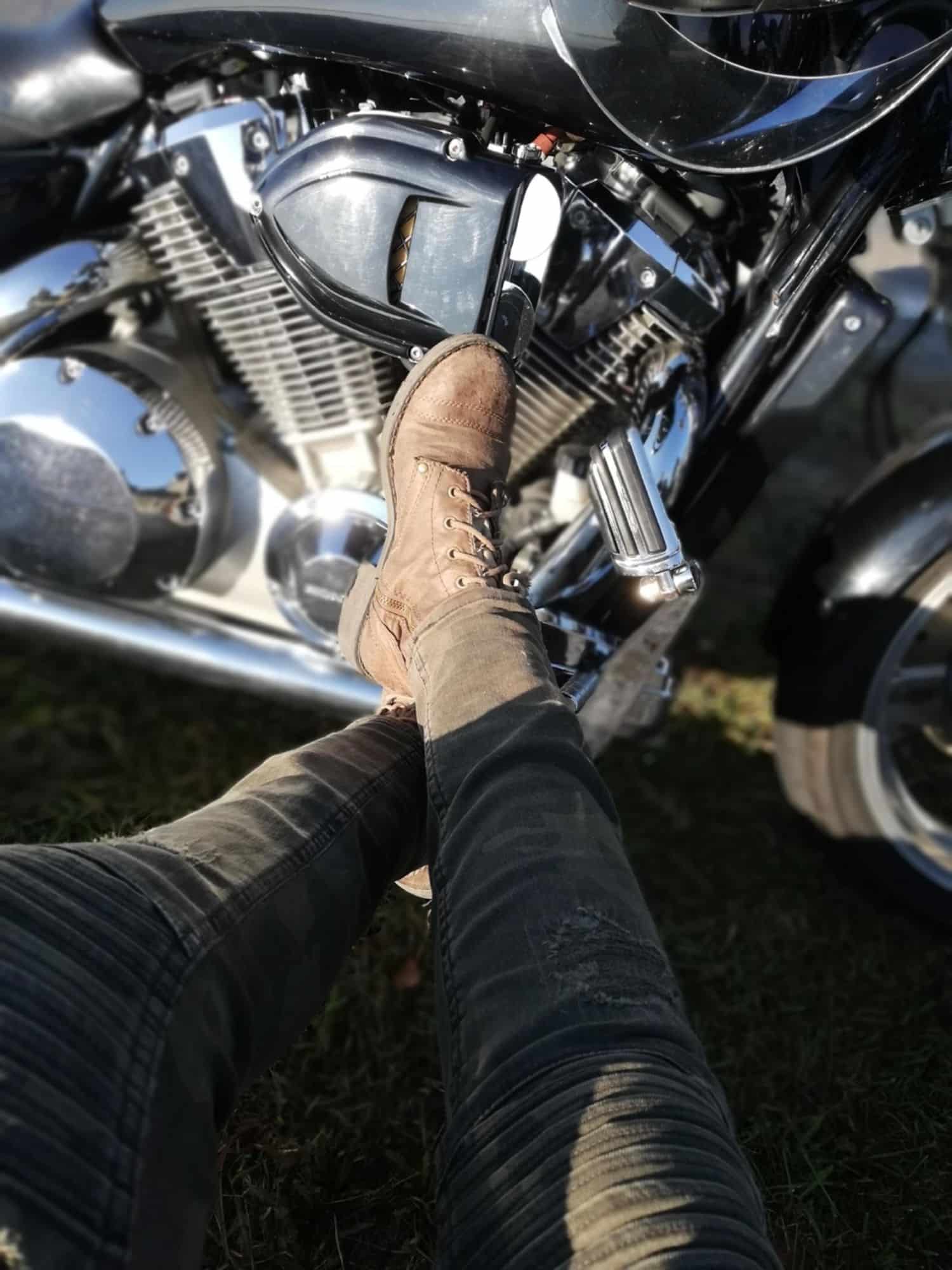 Photo 7b – grande taille