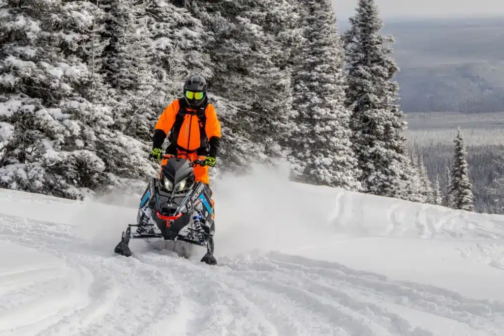 Photo 8 – grande taille