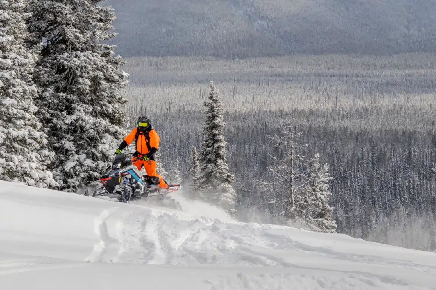 The Polaris RMK Factory Edition in its preferred environment.